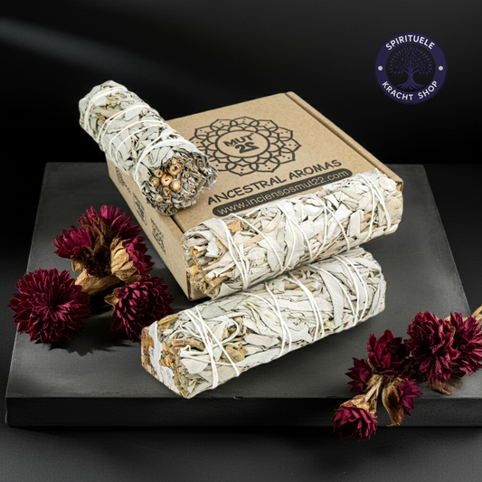 Heilige Witte Salie Bundel 3 Stuks | 100% Natuurlijk